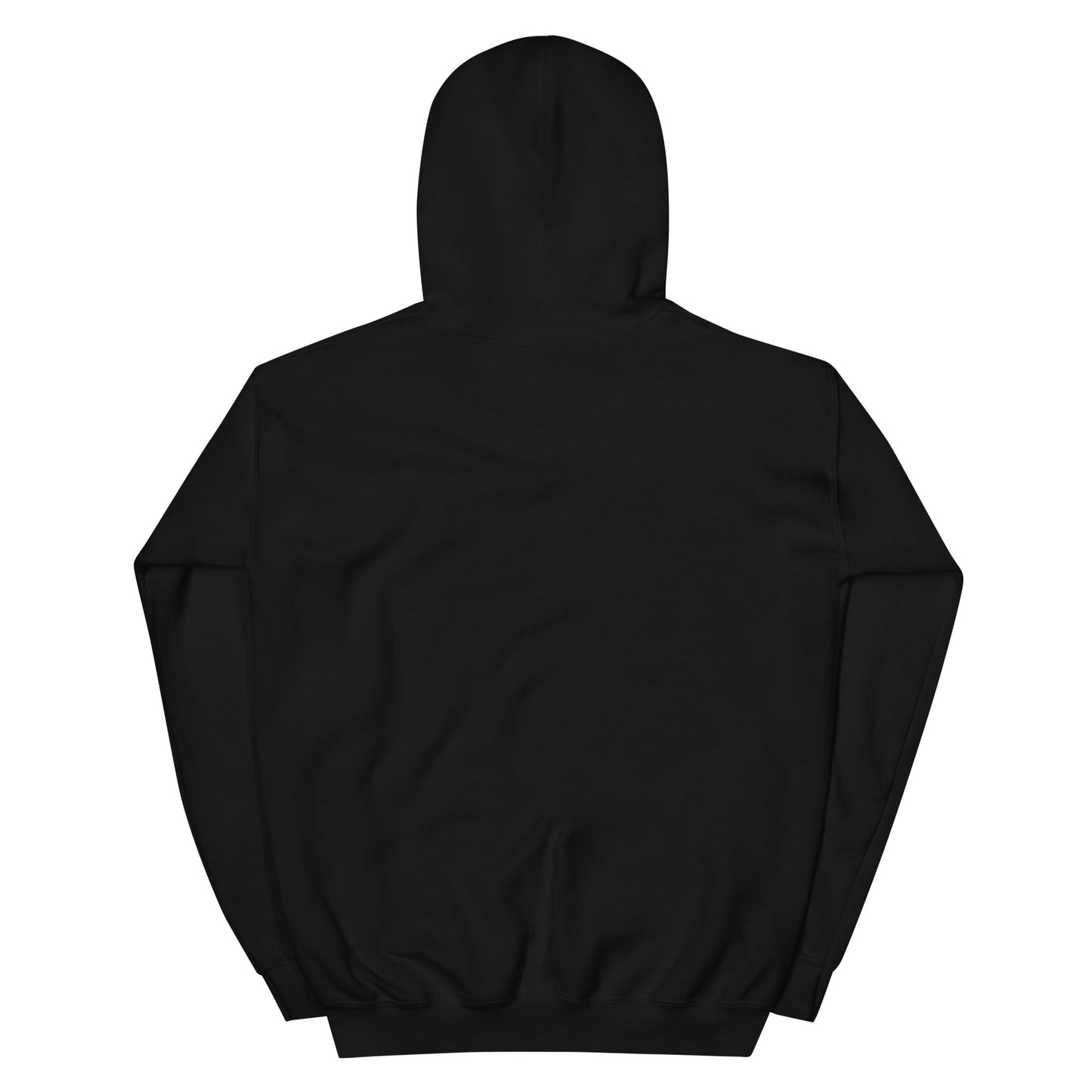 Back view of plain black unisex hoodie